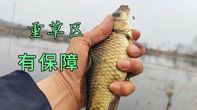 中高檔鯽魚竿，品質(zhì)卓越，技術(shù)精湛